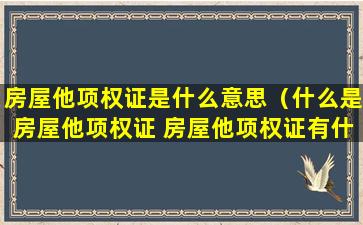 房屋他项权证是什么意思（什么是房屋他项权证 房屋他项权证有什么用）